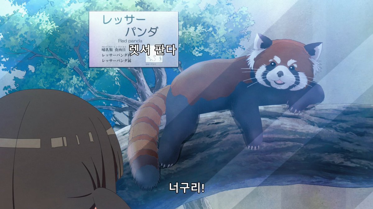 곞이(어떤너구리의망령) tweet media