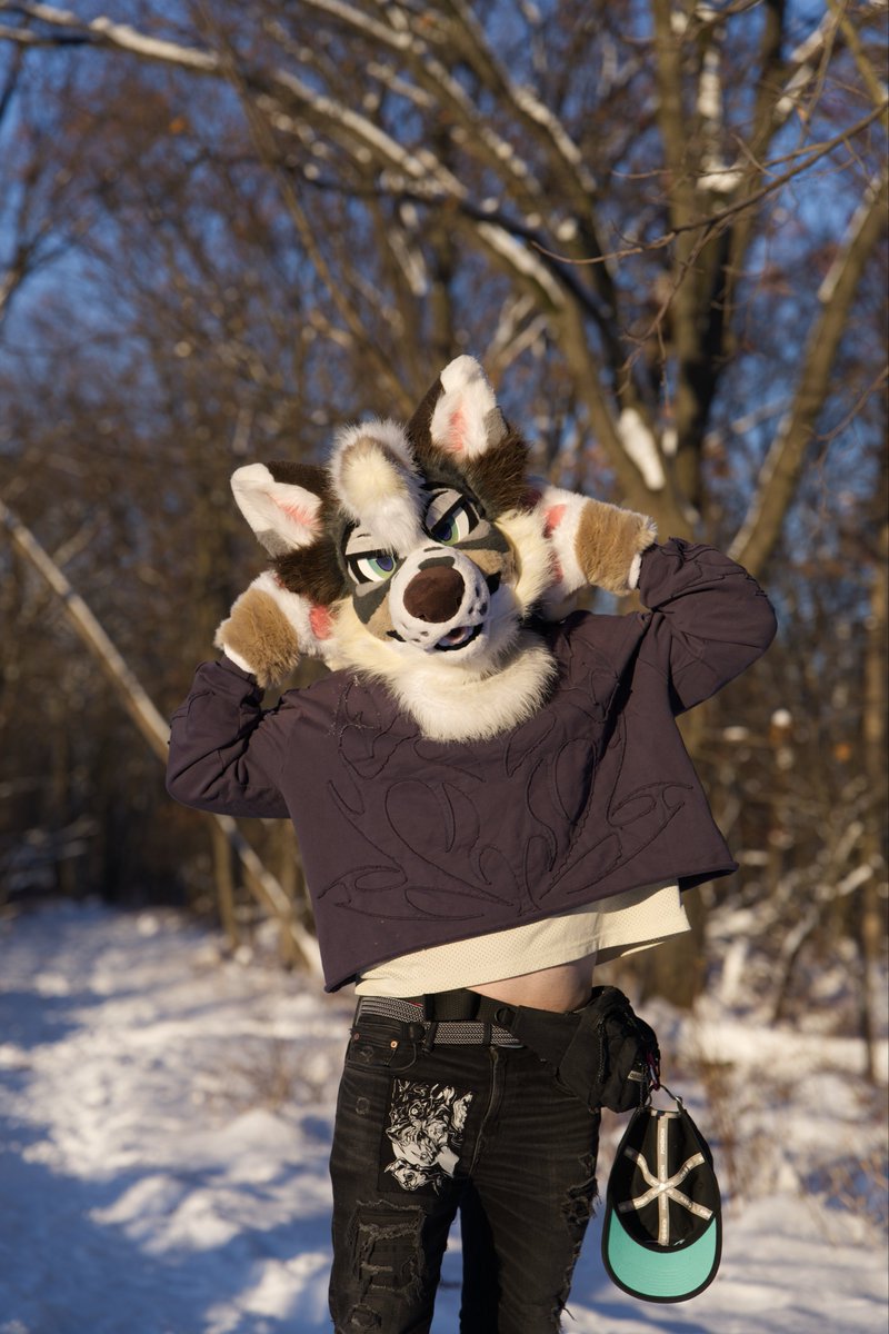 Abra (Halite) tweet media