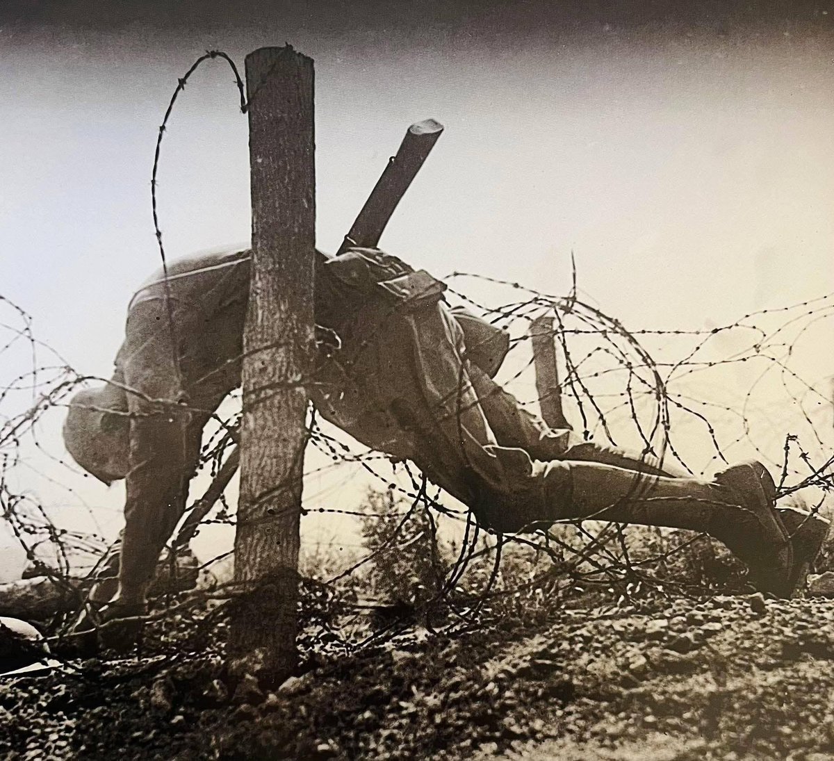 Studio Historia Miniatures tweet media