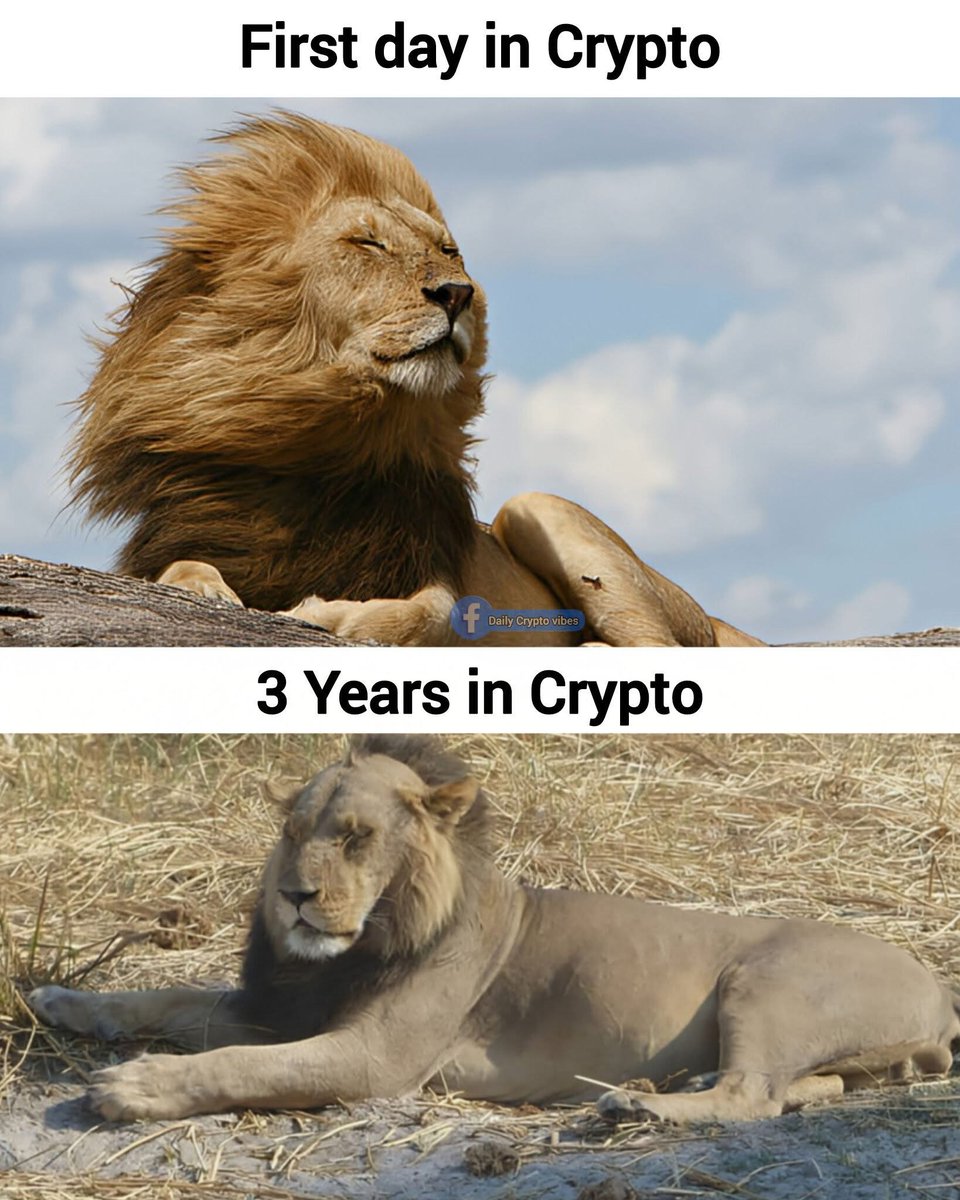 Crypto (@followcryptox) / Posts / X