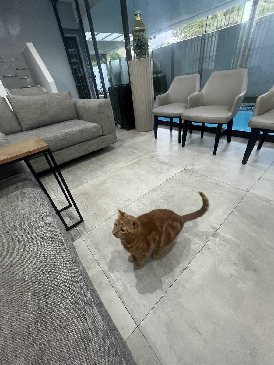 AnsaafMMXMZA 🇿🇦 tweet media