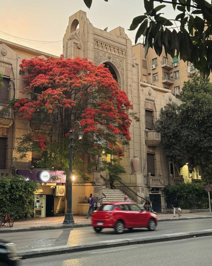 Beauty Explorer tweet media