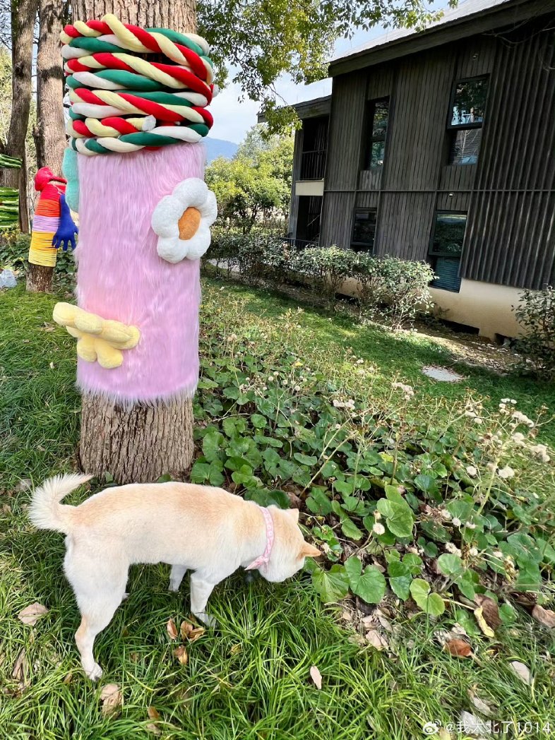 ThaiLeiMiforWulei 🇹🇭 tweet media