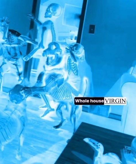 tevito yelich-o’connor ᚛ᚈᚓᚃᚔᚈᚒ᚜ tweet media