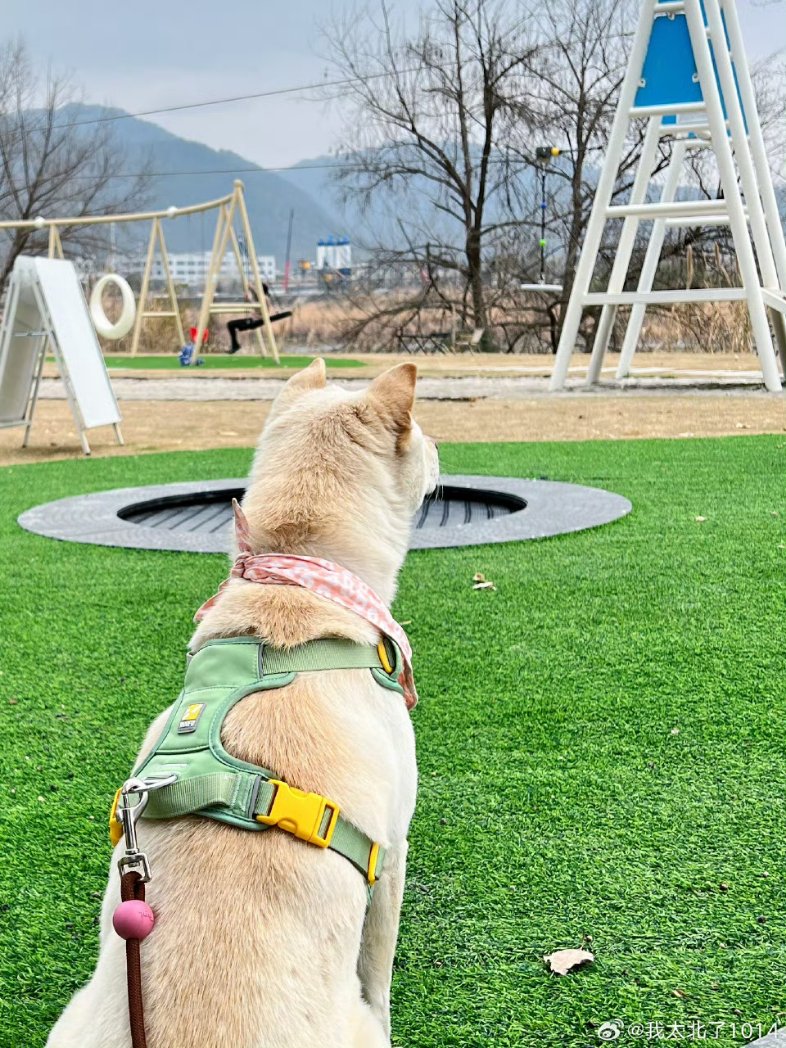 ThaiLeiMiforWulei 🇹🇭 tweet media