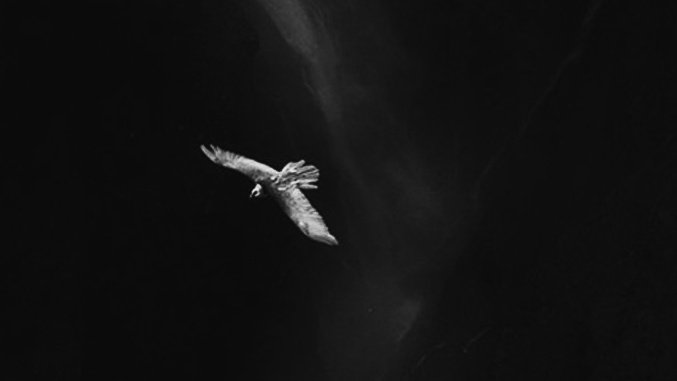 ARRAXOS. tweet media