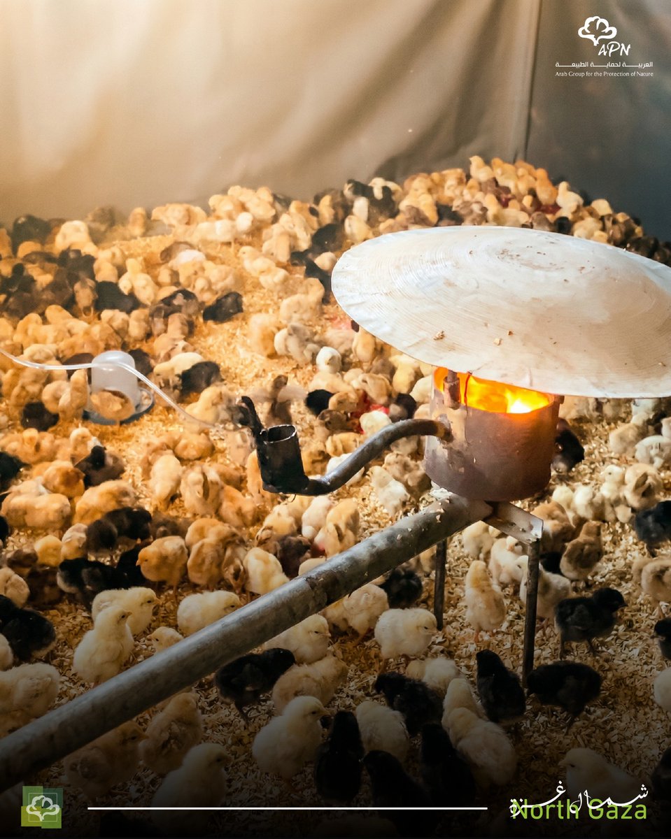 العربية لحماية الطبيعة - APN tweet media