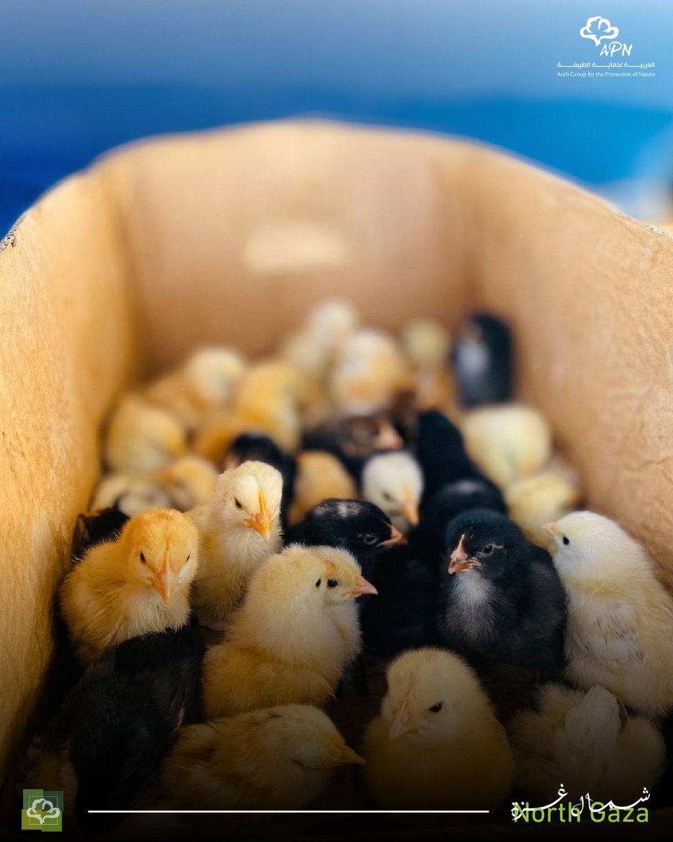 العربية لحماية الطبيعة - APN tweet media