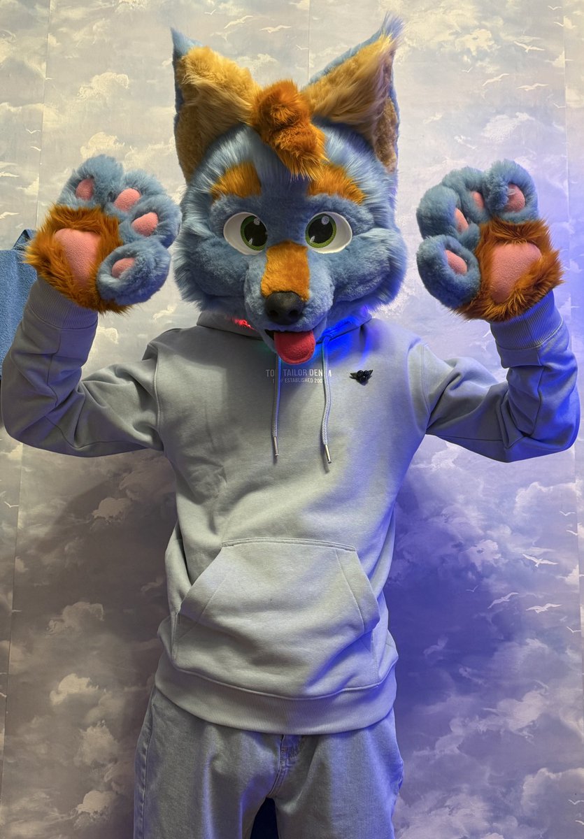 uvarov_max's tweet photo. First fursuit 
�� @SpikeTopDog 

#furry #fursuit #FursuitEverday https://t.co/jPO2LZPrfs