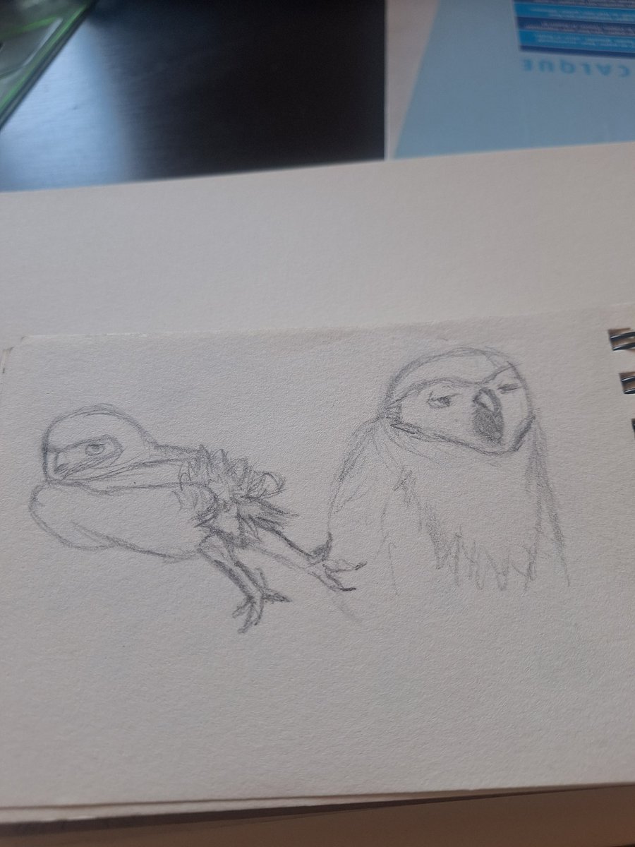 lealartbay 🏳️‍⚧️ tweet media