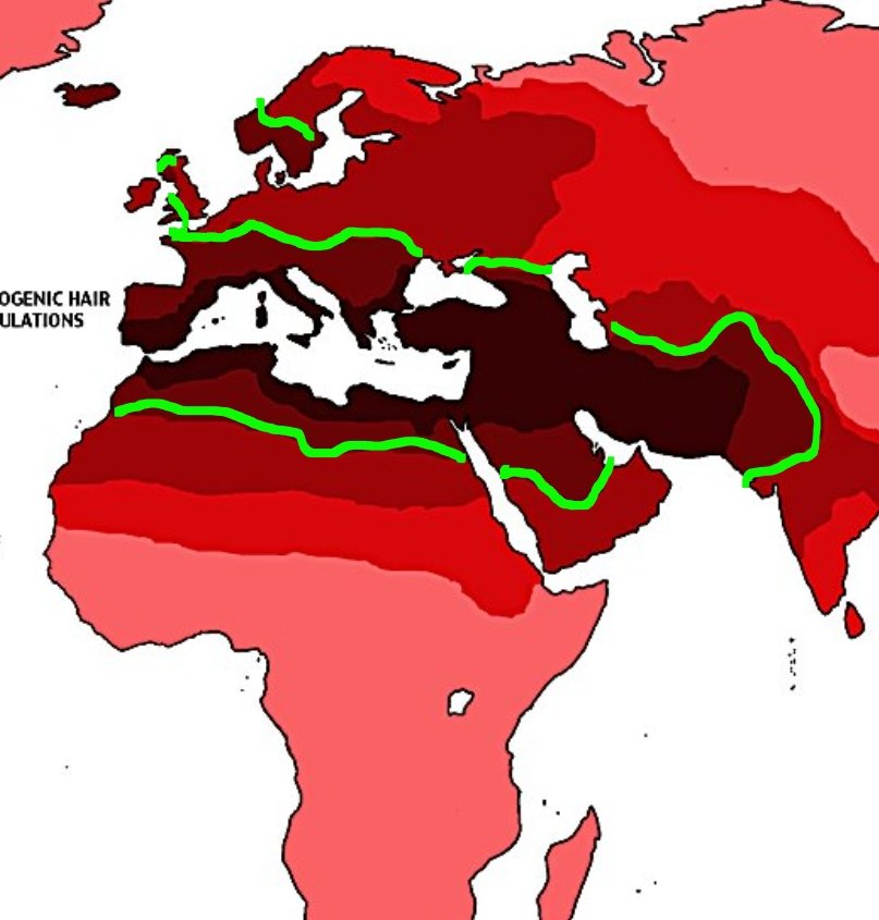Nikolaj🇺🇦🇵🇸 tweet media