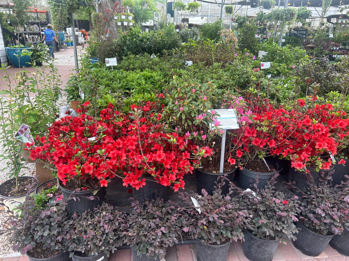 Master Nursery® Garden Centers tweet media