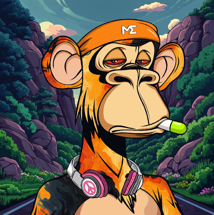 🙊Hippie APES🙊 tweet media