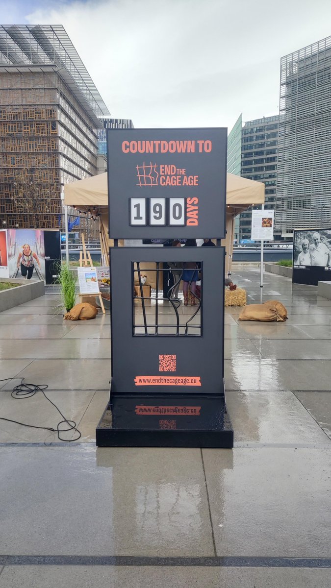 FBB_Officiel's tweet photo. 🐔 Journée mondiale pour l'élevage hors cage : le compte à rebours est lancé !

A l’occasion de la Journée mondiale pour l'élevage hors cage organisée à Bruxelles par la coalition issue de l’Initiative Citoyenne Européenne (ICE) “Pour une nouvelle ère sans cage”, la Fondation Brigitte Bardot a tenu à être présente afin de porter la voix des 300 millions d’animaux encore élevés dans des cages à travers l’Europe.

Alors que la Commission européenne s’est engagée à revoir la réglementation pour interdire l’élevage en cage d’ici l’automne 2026, force est de constater que l’appel lancé en 2021 par les 1,4 million de citoyens européens signataires de l’ICE n’a toujours pas été entendu.

👉 En cette journée de mobilisation, nous appelons la Commission à tenir ses engagements en proposant rapidement une révision ambitieuse qui bannisse les cages du paysage européen pour toutes les espèces (poules, truies, lapins, veaux…). Le bien-être de ces animaux ne peut plus et ne doit pas être ignoré !

⏱️ Le compte à rebours est lancé. Les autorités européennes compétentes n’ont plus que 190 jours pour enfin agir.

#WorldCageFreeDay #EndtheCageAge @Act4AnimalsEU @UEFrance 
Crédits photos : © Eurogroupforanimal & Leyla Hesna
