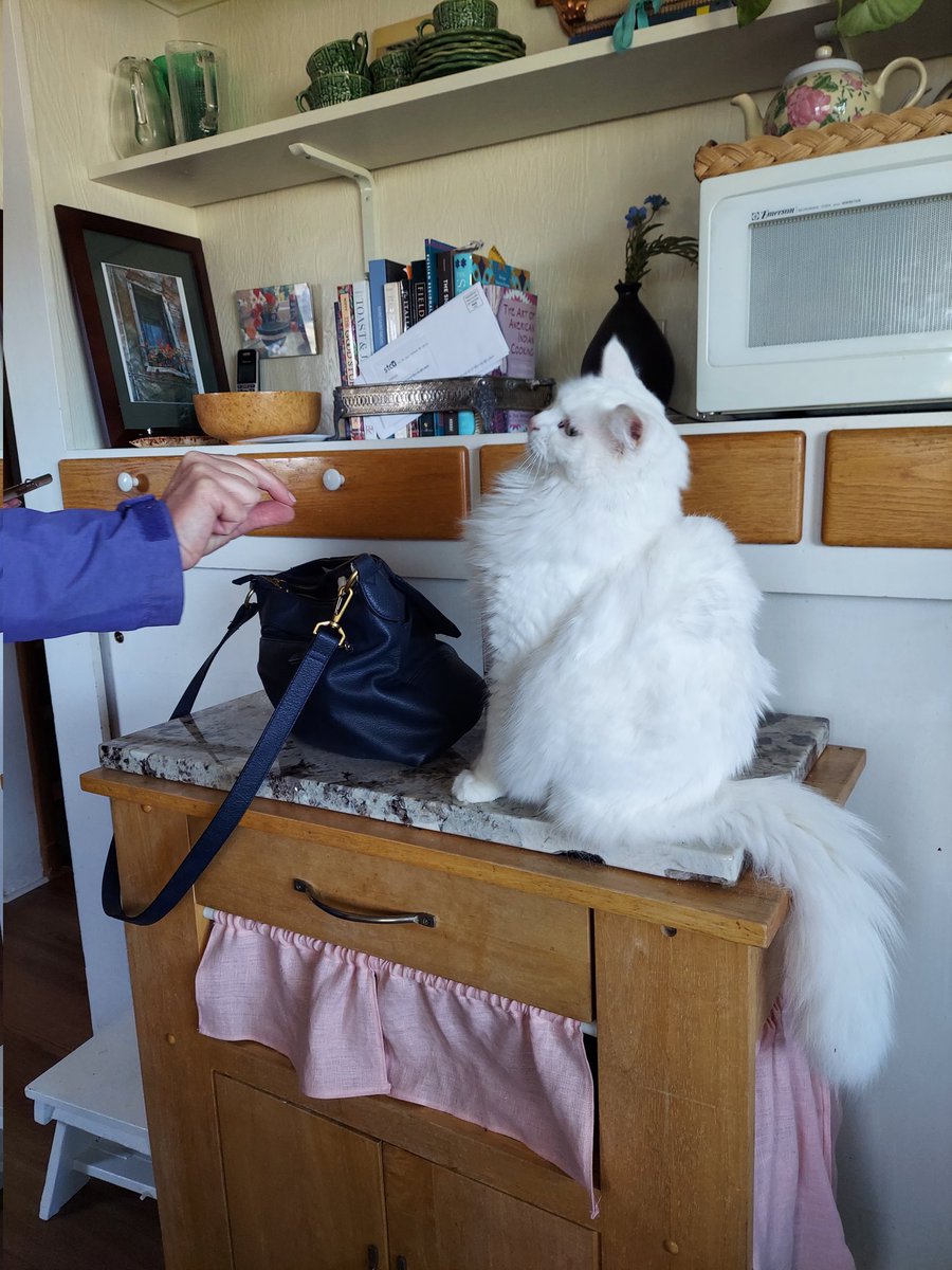 Babette 💟 tweet media