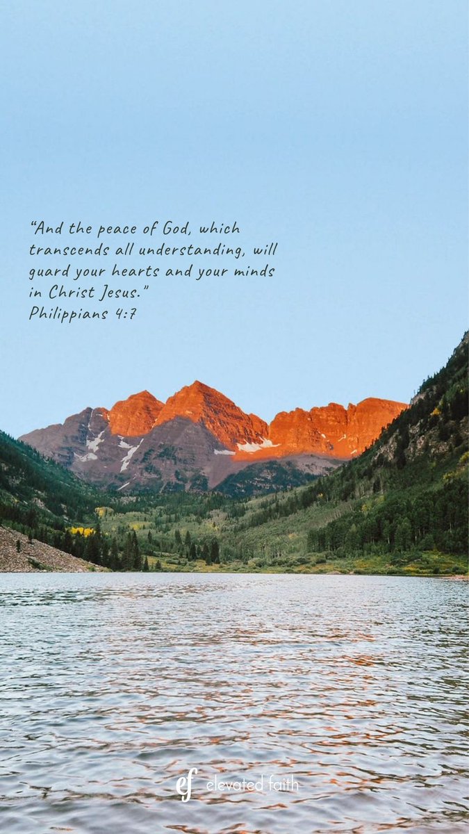 Elevated Faith tweet media