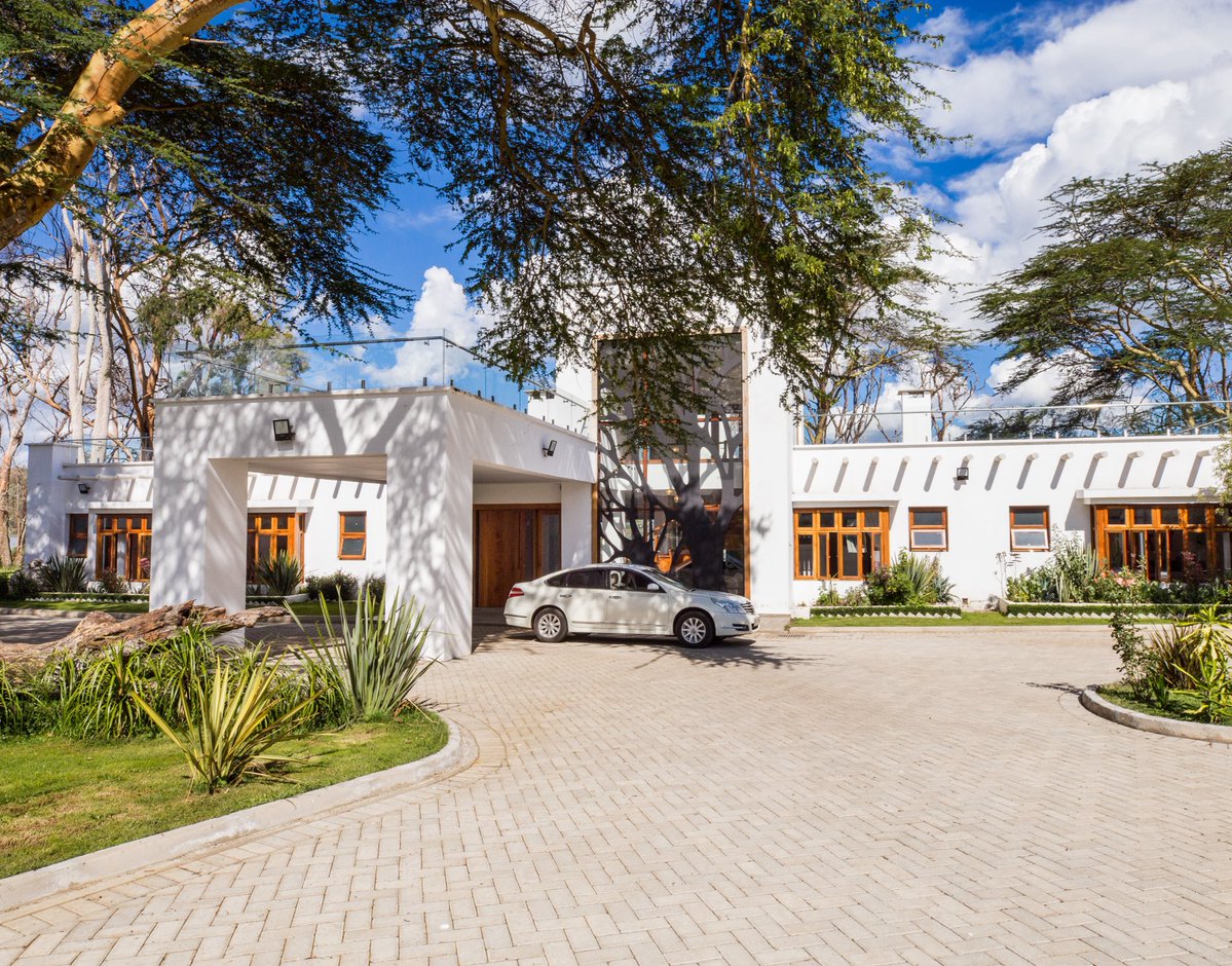 Let’s Discover Travel tweet media