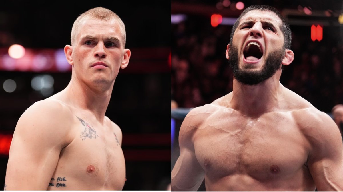 José Louis tweet media