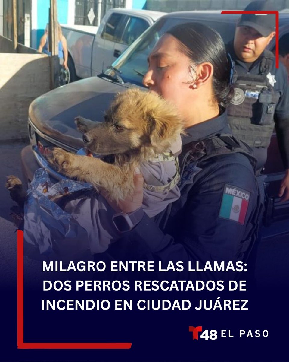 KTDO Telemundo 48 tweet media