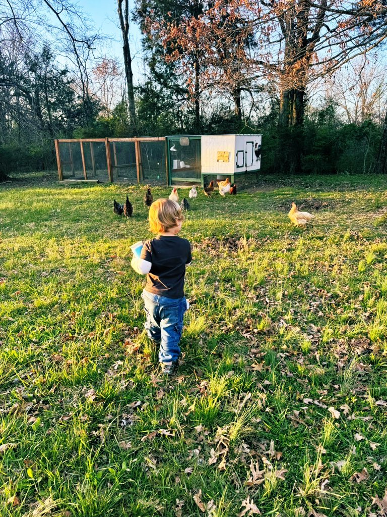 soccer2cool4you's tweet image. I am not monetized on X, but would love to be more visible with my posts from everywhere about everything I am interested in…mostly amateur photography, running, family, pets, travel, and Kentucky athletics.
What are your interests? #positiveposts