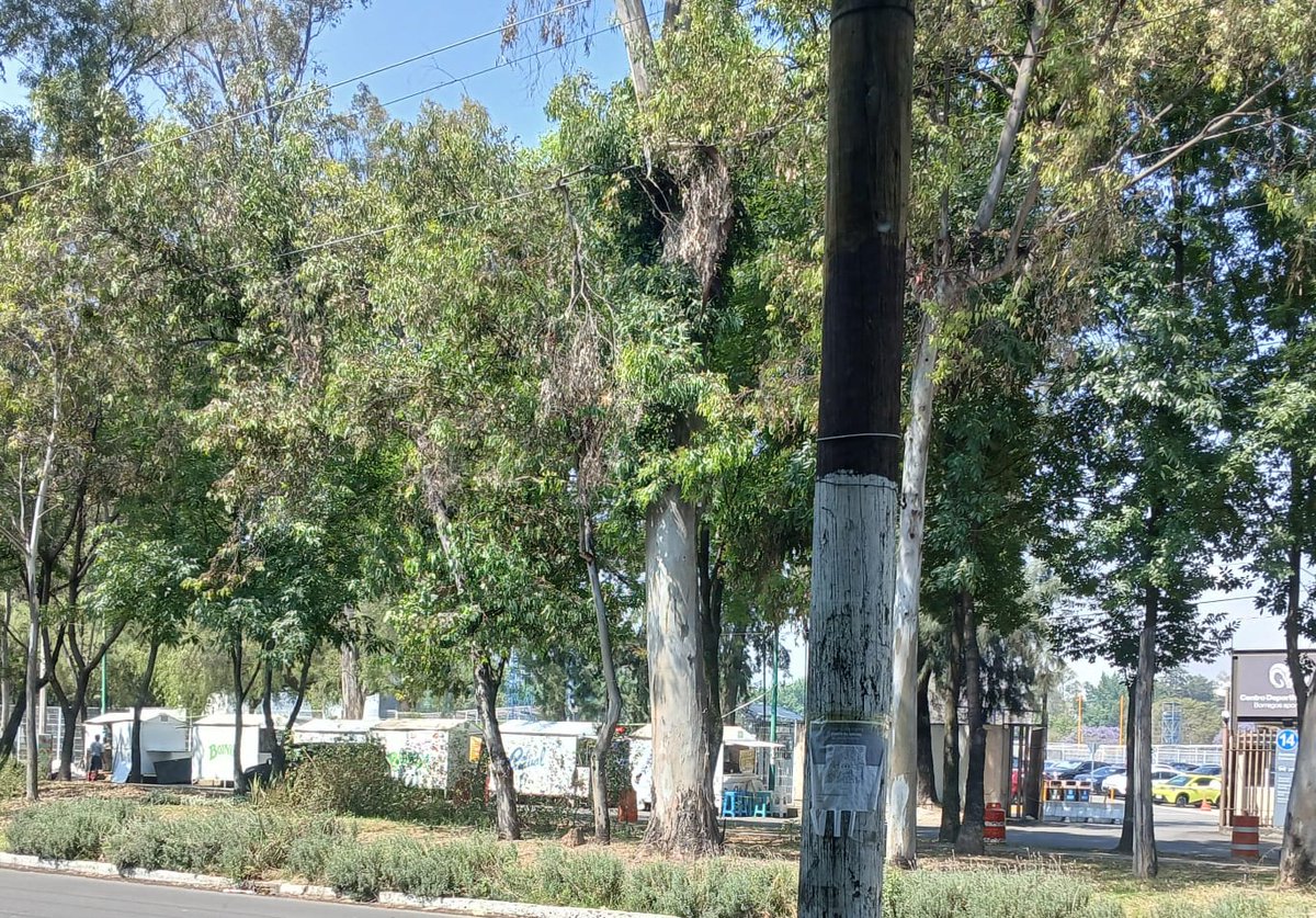 Marce Muñoz 🇲🇽 tweet media