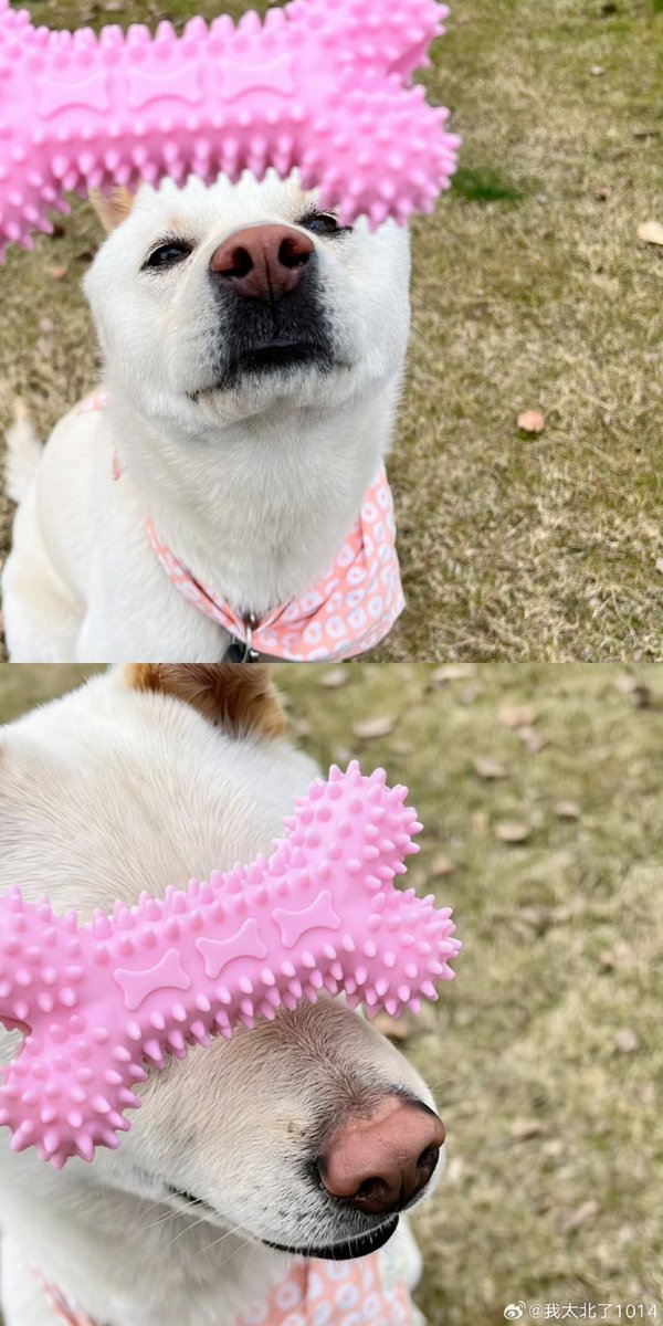 ThaiLeiMiforWulei 🇹🇭 tweet media