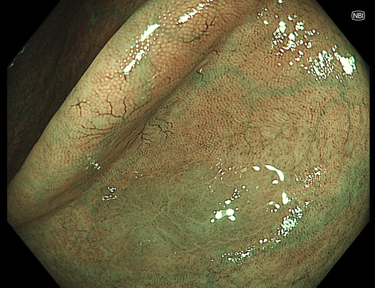 Aleksandar Gavric tweet media