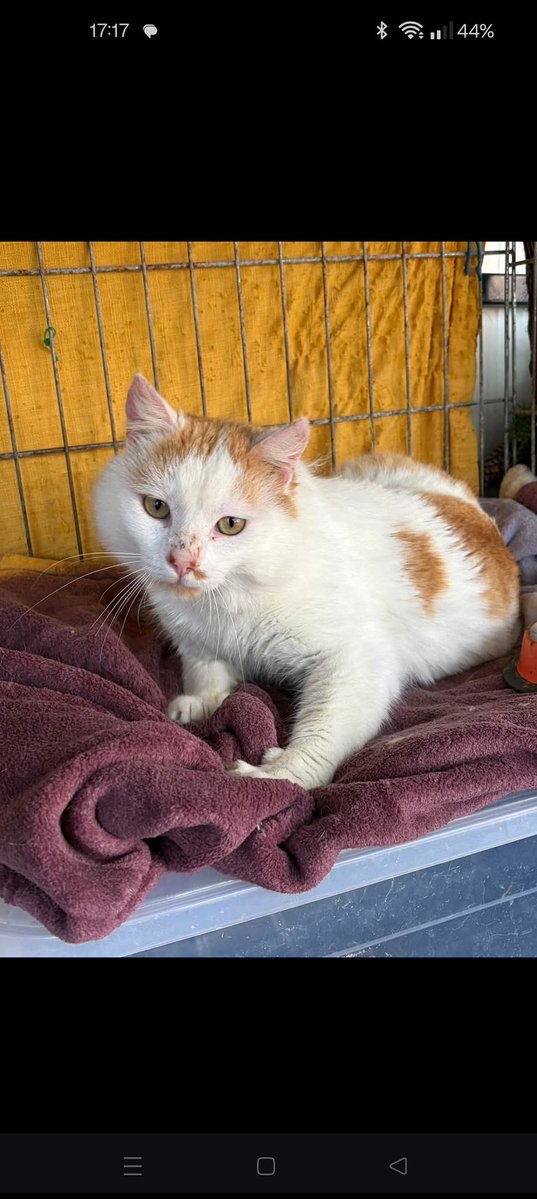 Alastair Campbell tweet media