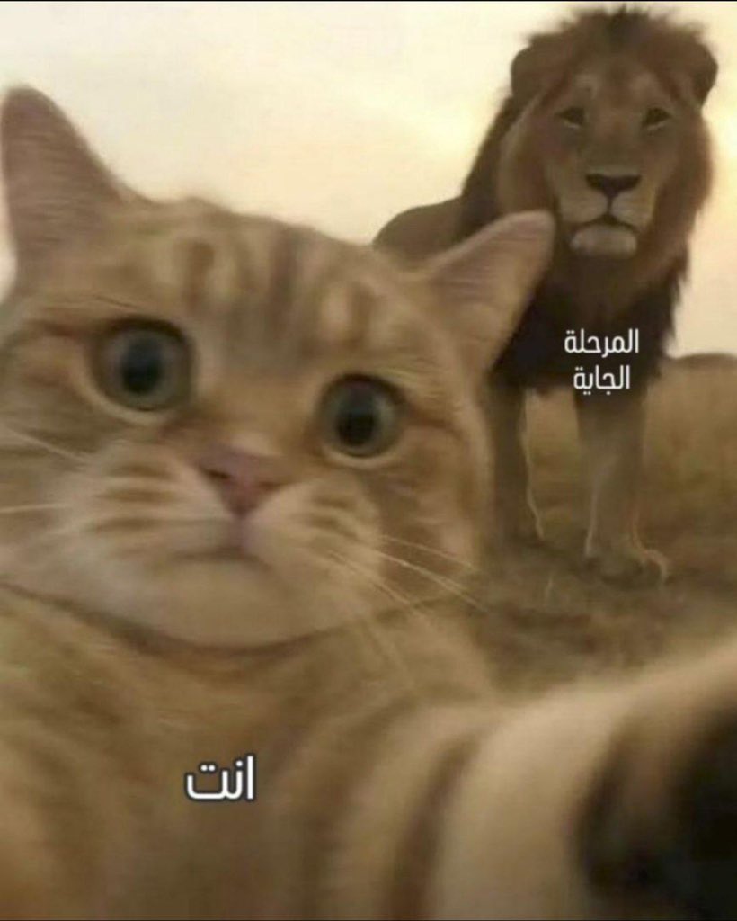 GeneZ_ye's tweet photo. المرحلة الجاية: https://t.co/LIrYaKxv2s
