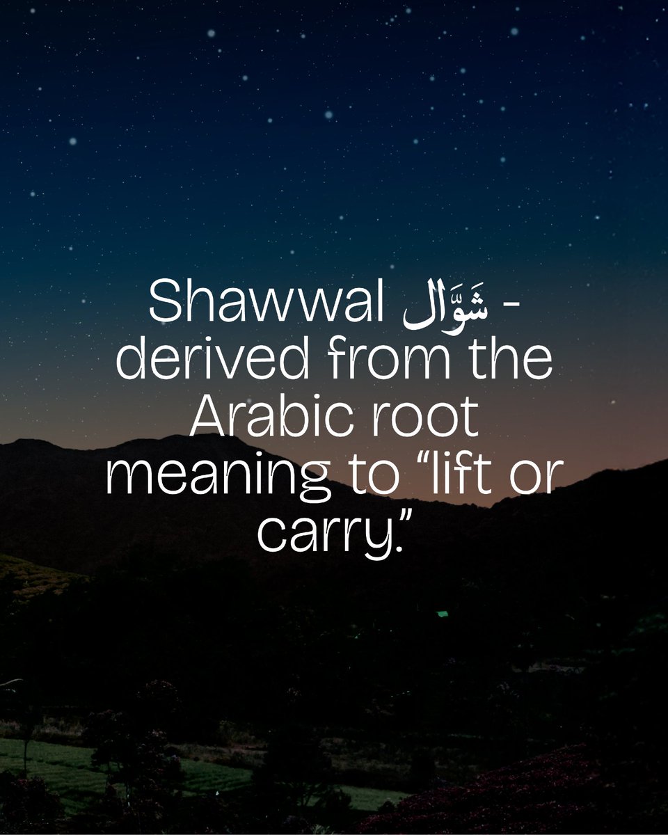 Imam Development Program tweet media