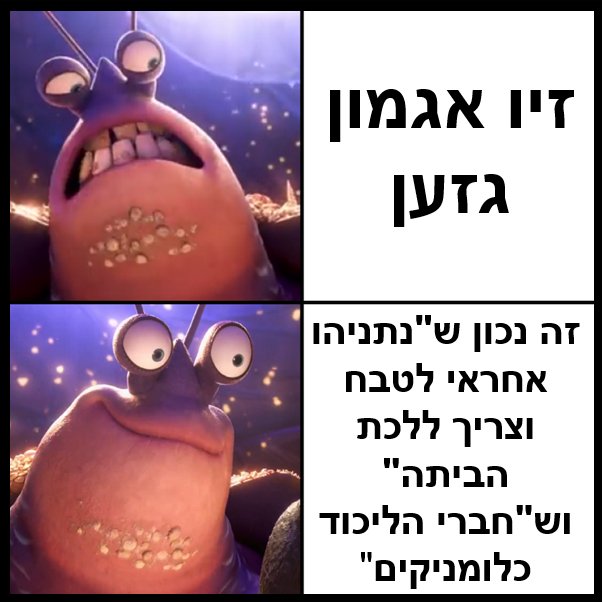 🐢Turbo Turtle - צב טורבו 🐢 tweet media