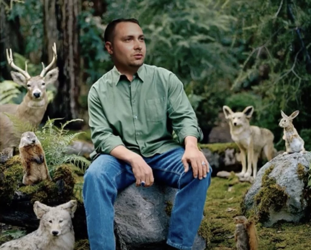 aly кішка! ✙ tweet media