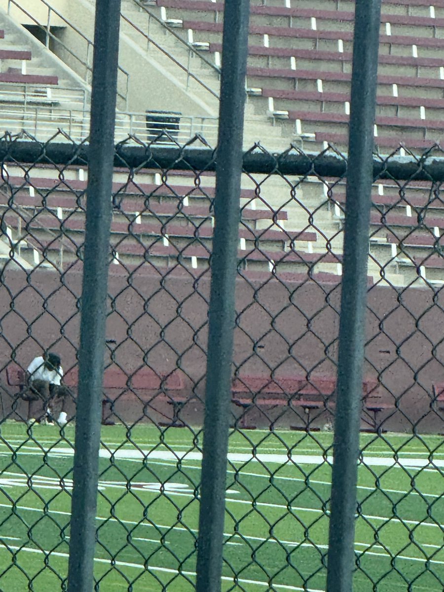 CreshondaColli1's tweet image. Working even when he thinks no one is watching!! #Sonshine #MyJVAFJ