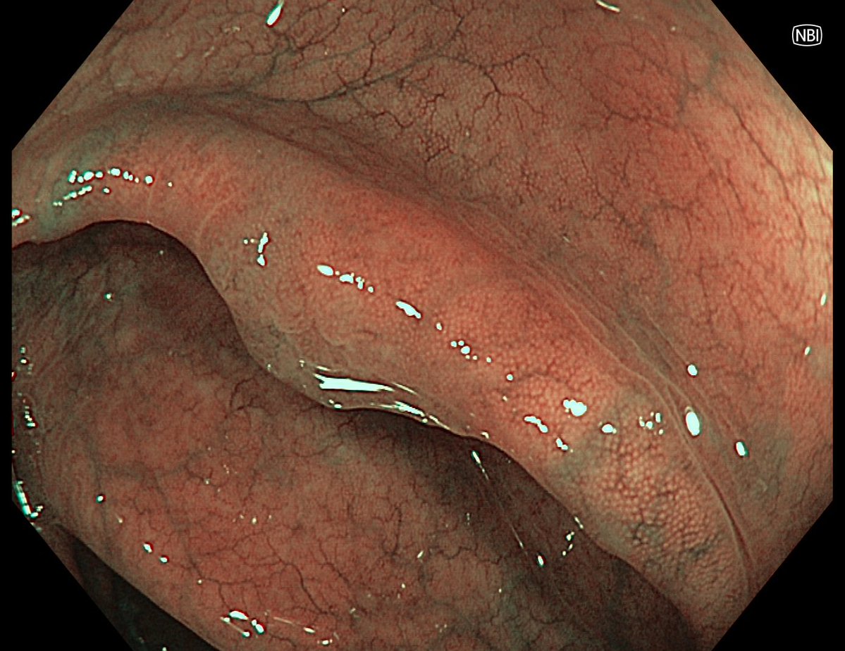 Aleksandar Gavric tweet media