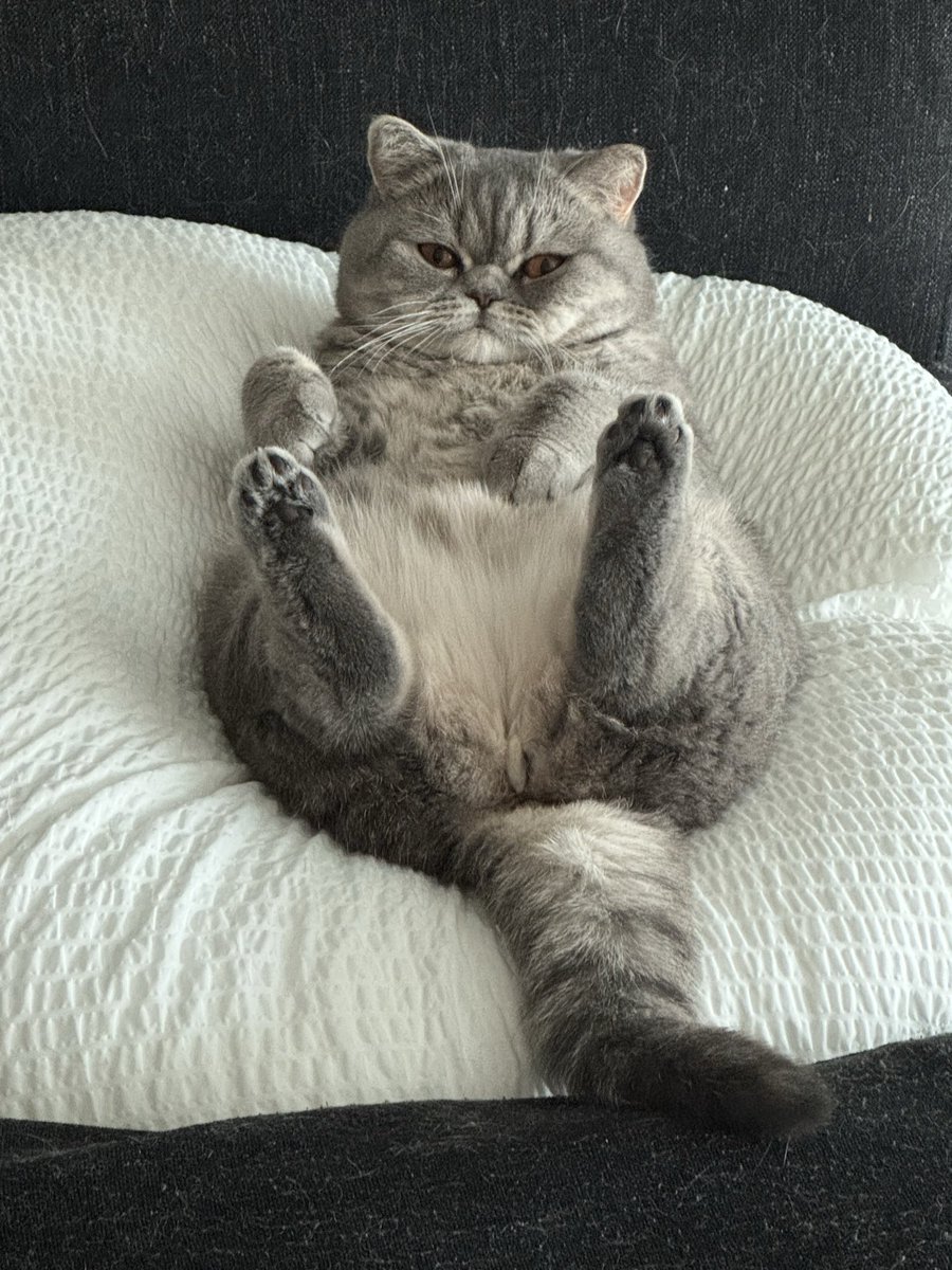 Sumeru MoB ojisan / Hwan tweet media