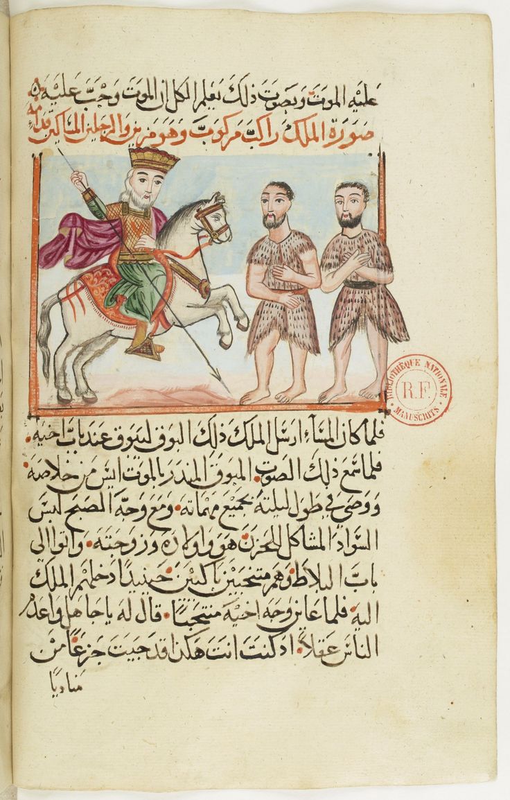 مصطفى tweet media