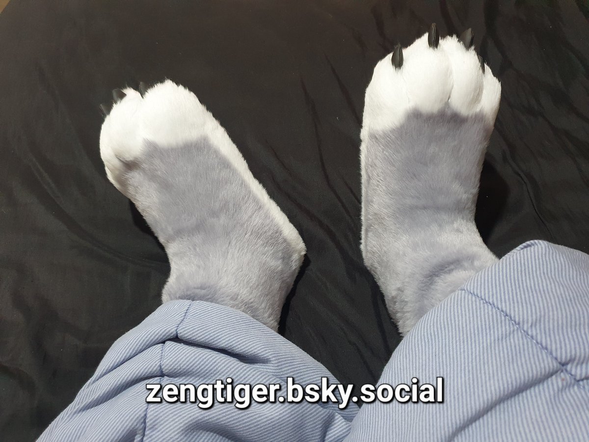 Opening 3 slots for handpaws and sockpaws commissions!
$350 USD + shipping!
More information below on the comments! 😌👇