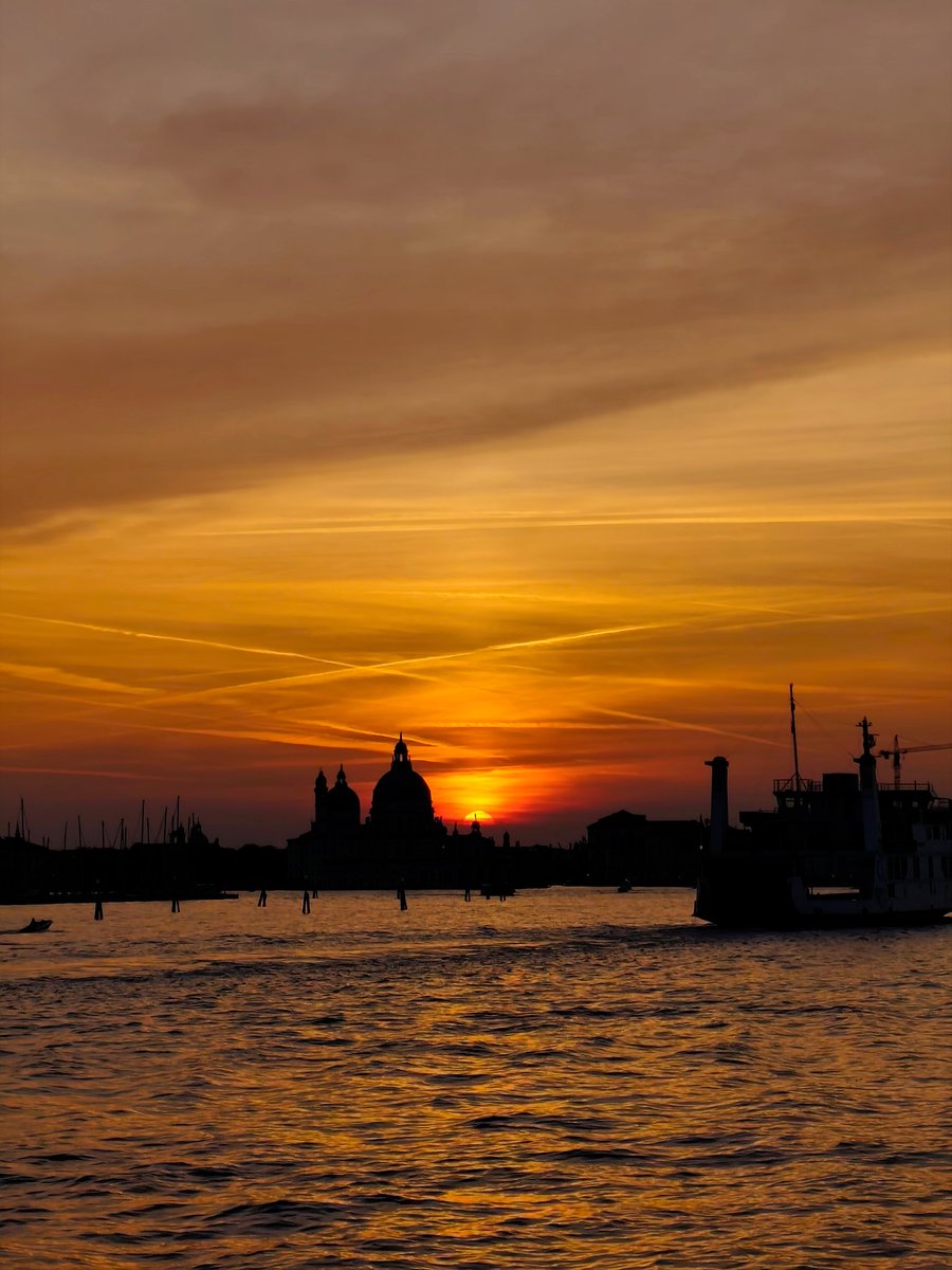 Nymph' 🦆 tweet media