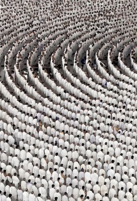 طمأنينة tweet media