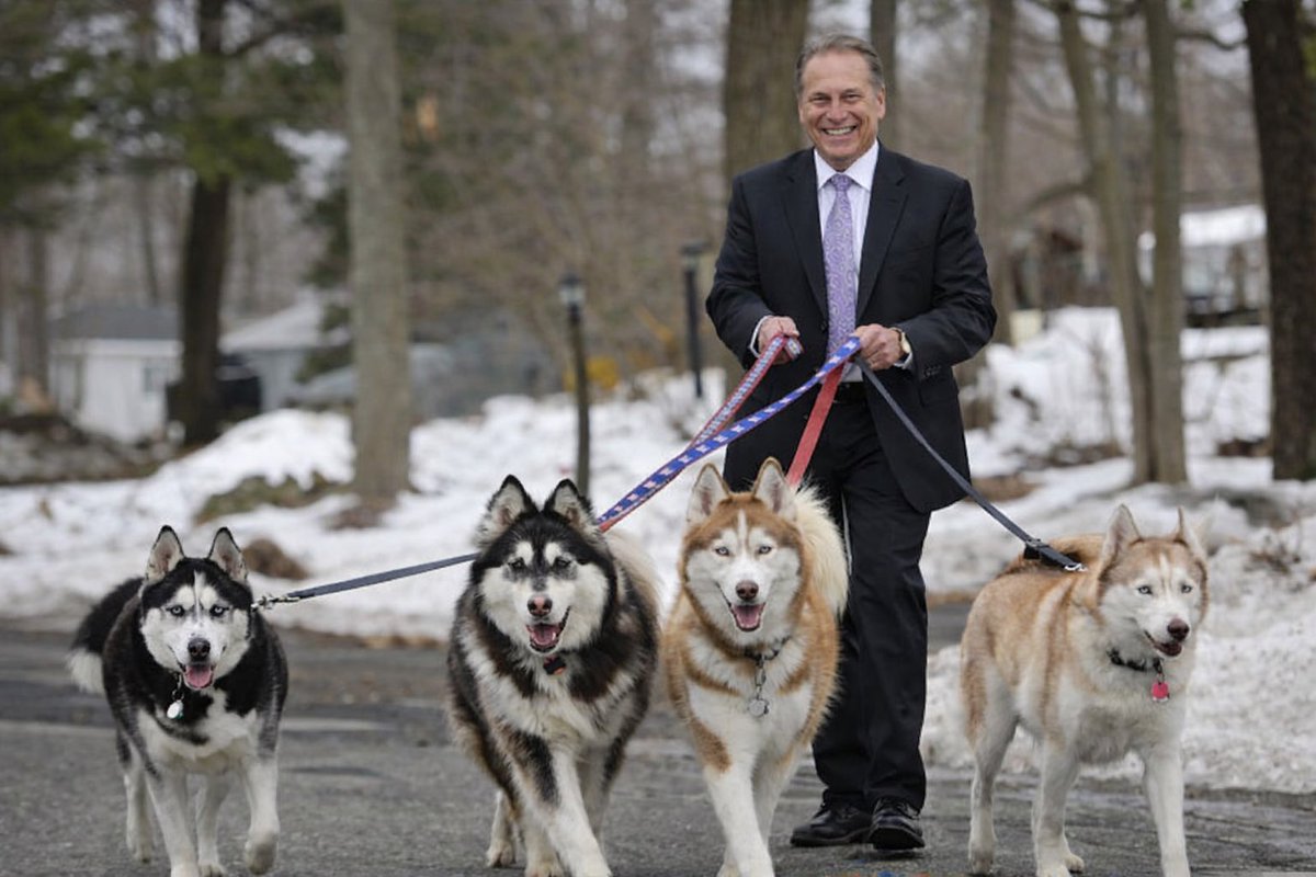 Thomas Harper tweet media