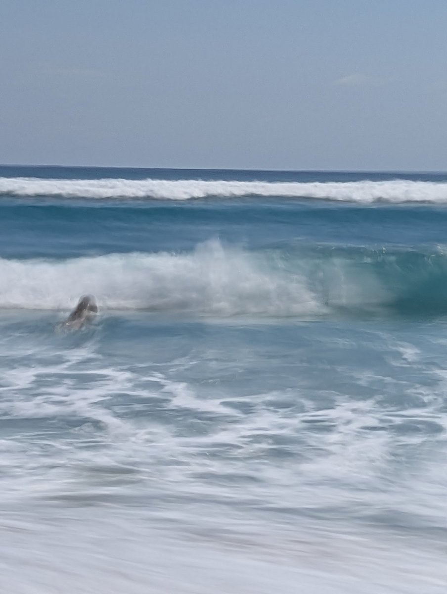 Sheila the Bills 50/50 girl! ❤️🏈💙 tweet media