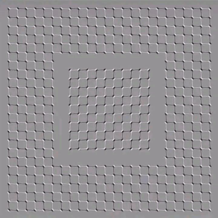 ضرغام الحجوري 𓃵 tweet media