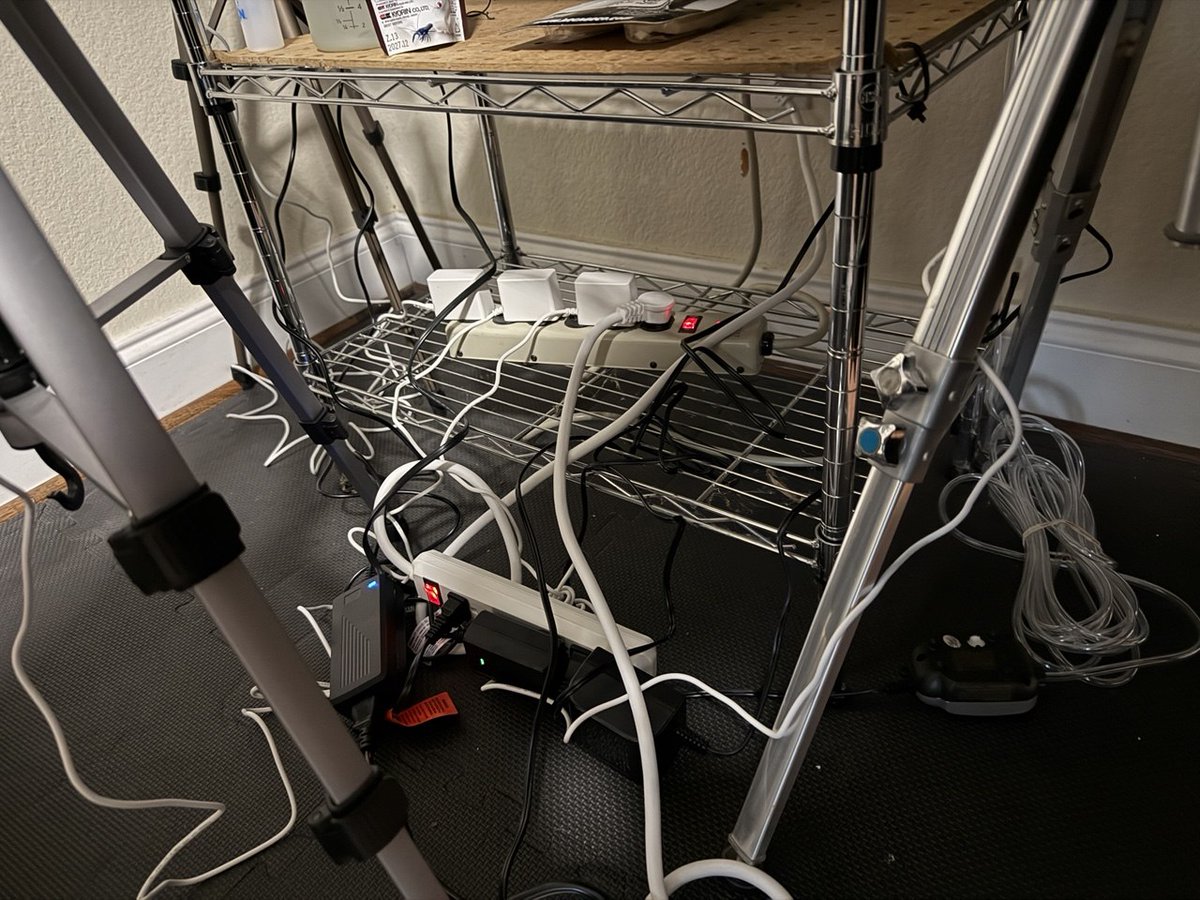 Buddy | AI Tools tweet media