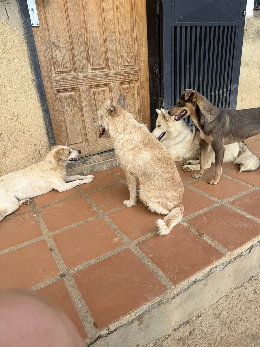 ayudemosapluto tweet media