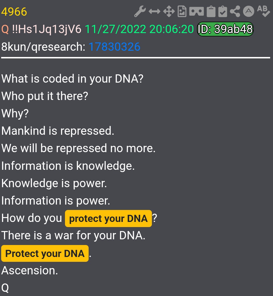DutchForce17 tweet media