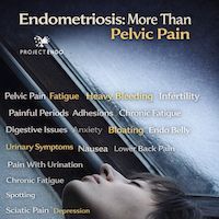 Project Endo tweet media