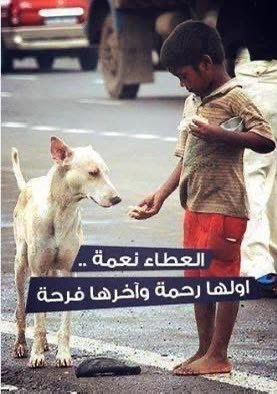 ‏‎ ‏‎اندَلُسِي‌  tweet media