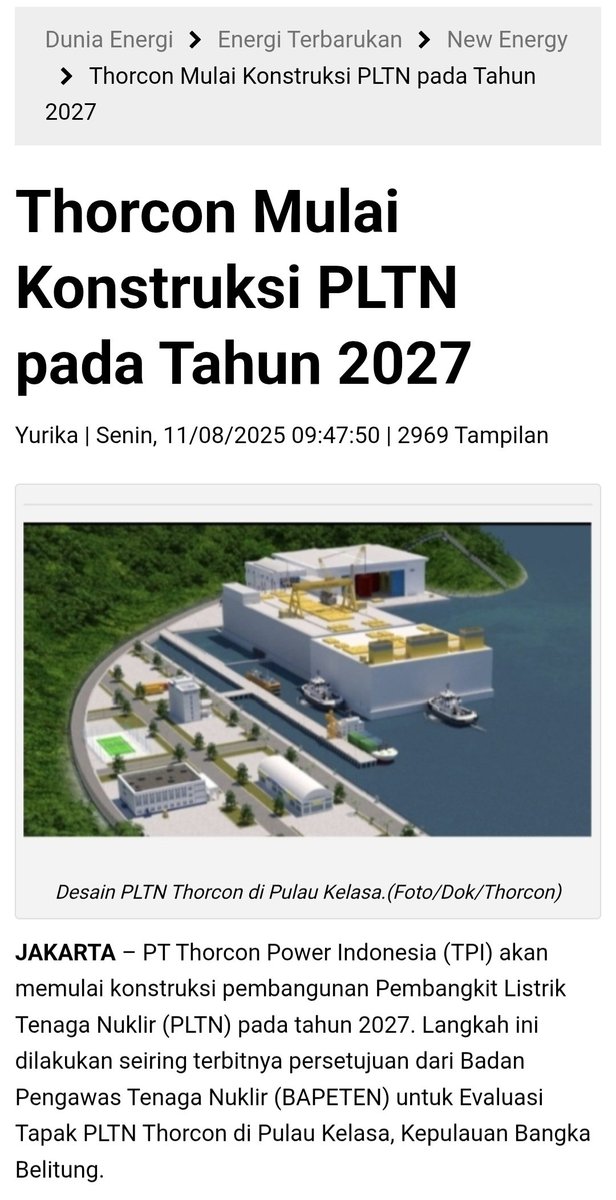 Cabbage Gyoza tweet media