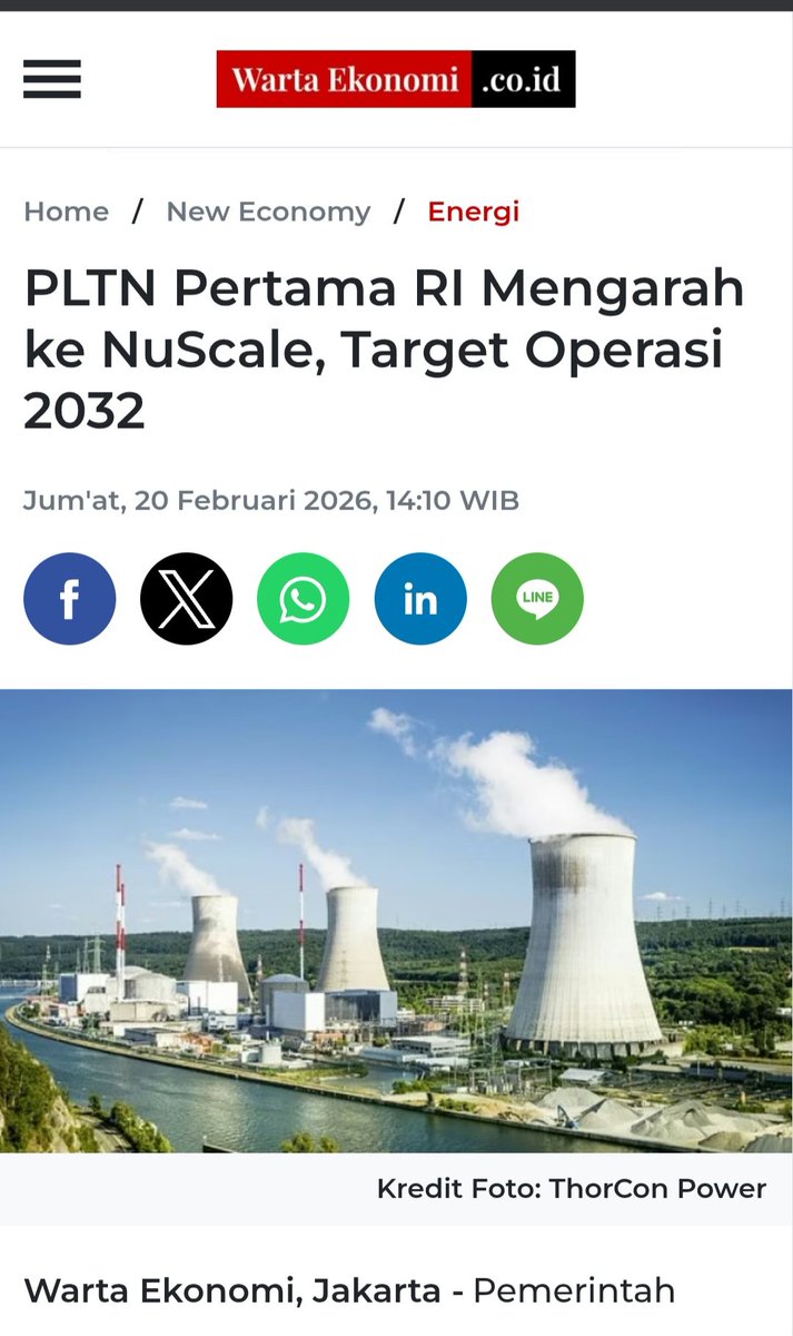 Cabbage Gyoza tweet media