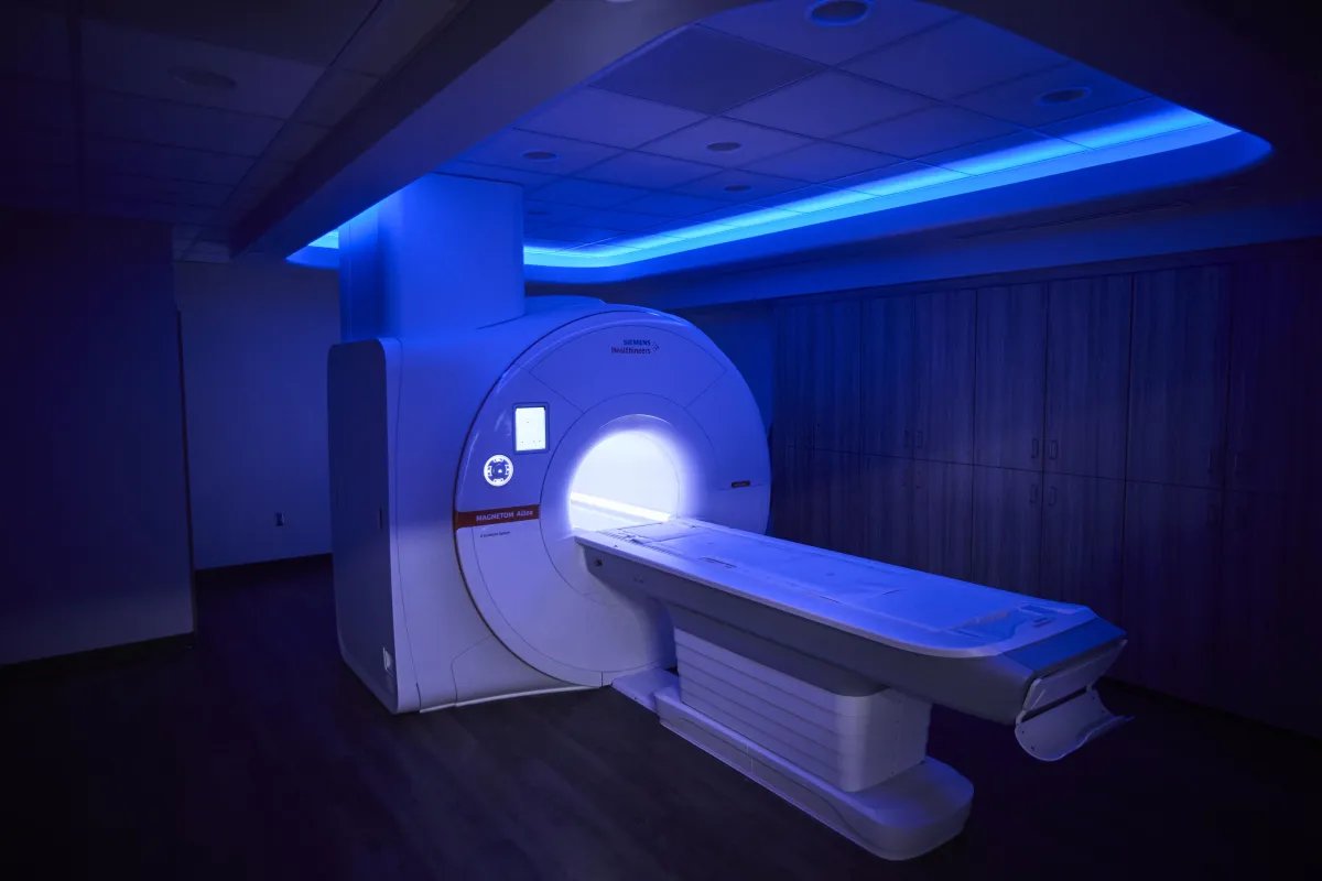 David Daines tweet media